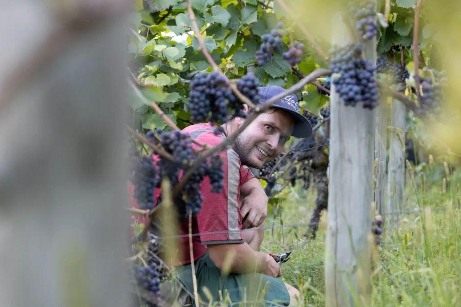 Das Team von Vignerons de Berne: Roman Brunner.