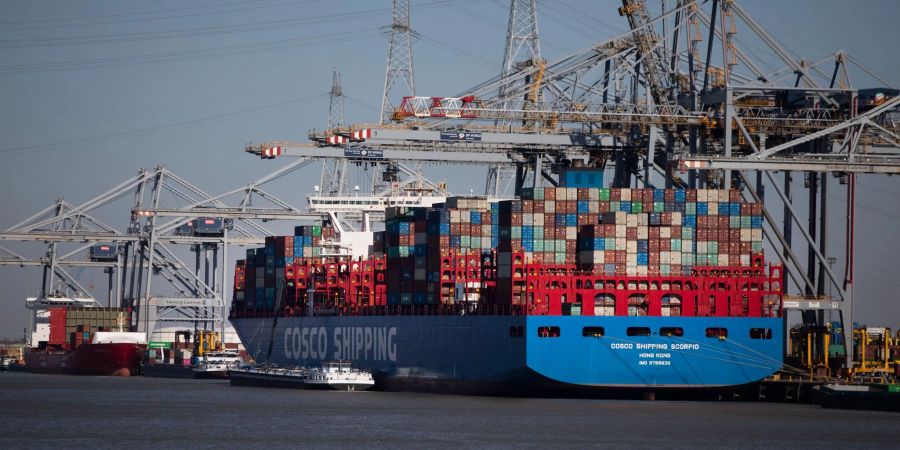 Container werden von einem Containerschiff im Hafen von Antwerpen entladen.