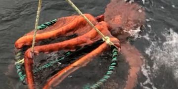 riesenkraken