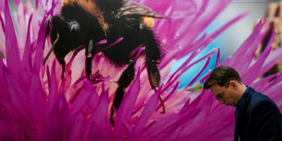 Delegierter auf der Weltnaturkonferenz in Montréal
