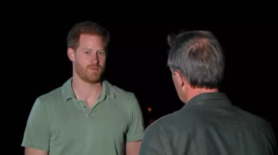 Prinz Harry bei seinem Interview mit Tom Bradby 2019.