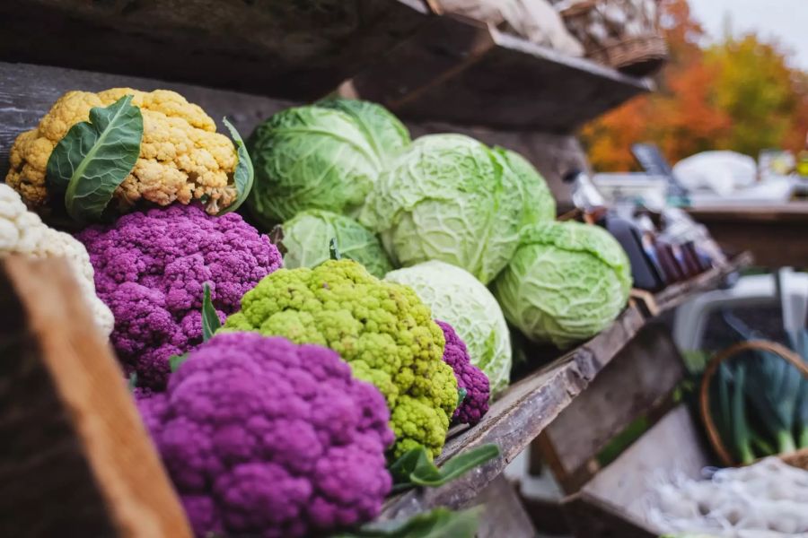 Blumenkohl bunt