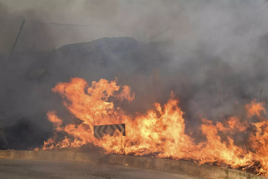 Auch in Italien stehen noch immer Gebiete in Flammen: ein Feuer nahe Palermo auf Sizilien.