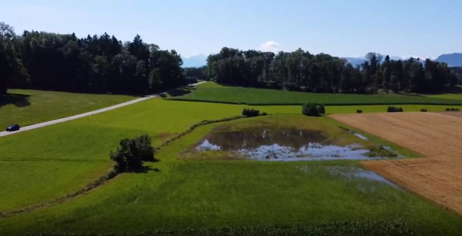 Vor allem die Menge der Niederschläge macht den Landwirten zu schaffen.