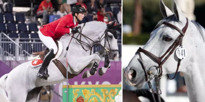 Nach Unfall - Olympia-Reiter Martin Fuchs bangt um Pferd Clooney