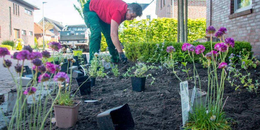 Beim Vorgarten-Wettbewerb des Emder Ökowerks werden Schottergärten in insektenfreundliche Gärten umgestaltet.