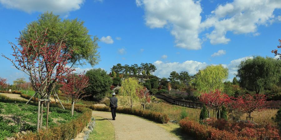 Mann Park Spaziergang Frühjahr