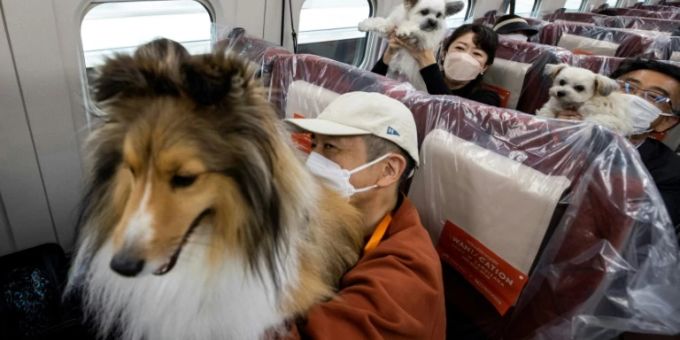 Hunde an Bord eines Shinkansen-Zugs in Japan Hunde an Bord eines Shinkansen-Zugs in Japan