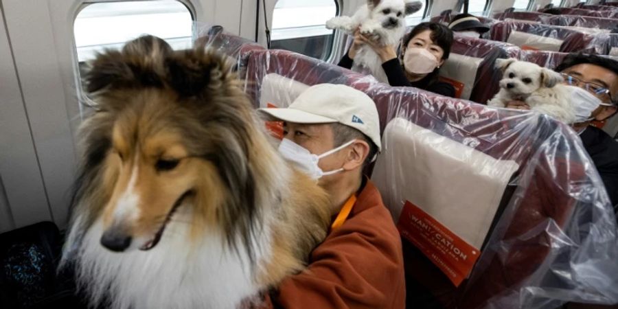 Hunde an Bord eines Shinkansen-Zugs in Japan