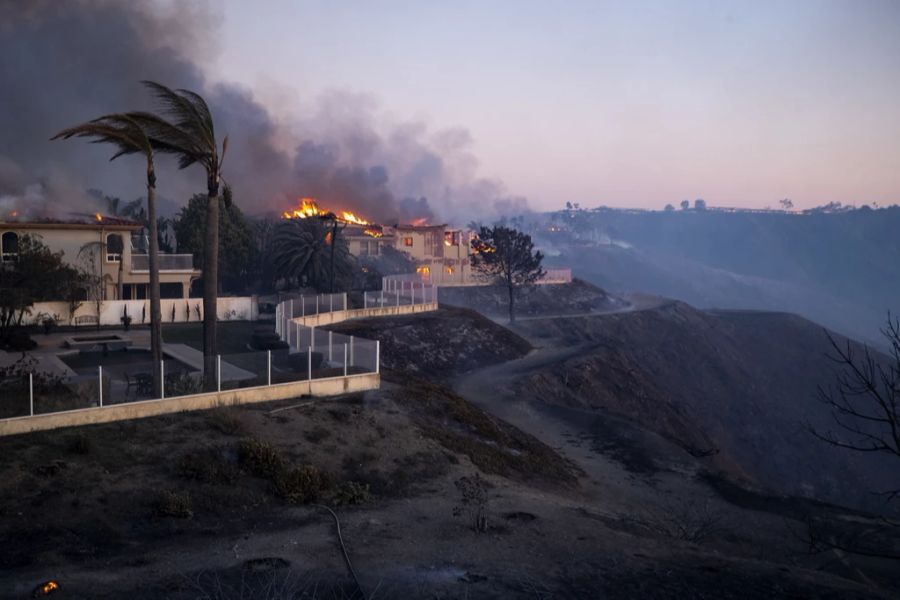 Das Feuer konnte sich aufgrund der trockenen Vegetation allerdings rasch ausbreiten.