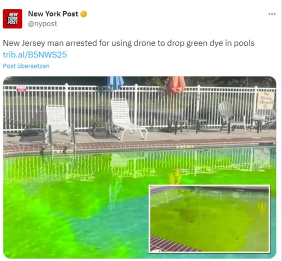 new york drohne