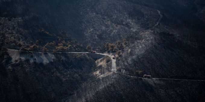 Das Feuer hinterlässt einen verbrannten Wald. Das Feuer hinterlässt einen verbrannten Wald.