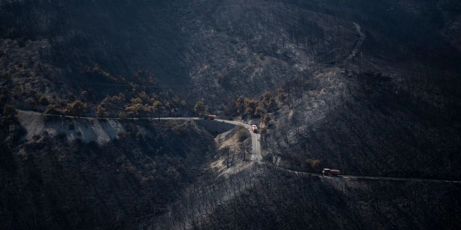 Das Feuer hinterlässt einen verbrannten Wald.