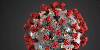 Stans NW - Nidwaldner Landschreiber am Coronavirus erkrankt
