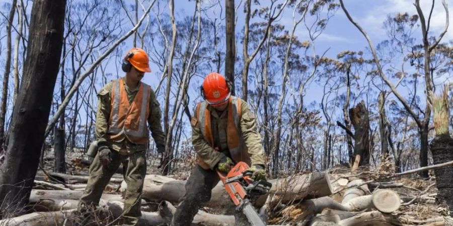 Nach den Buschbränden haben in Australien die Aufräumarbeiten begonnen. Als Helfer sollen auch Backpacker eingespannt werden. Foto: Paul Tighe/AUSTRALIAN DEFENCE FORCE/AAP/dpa