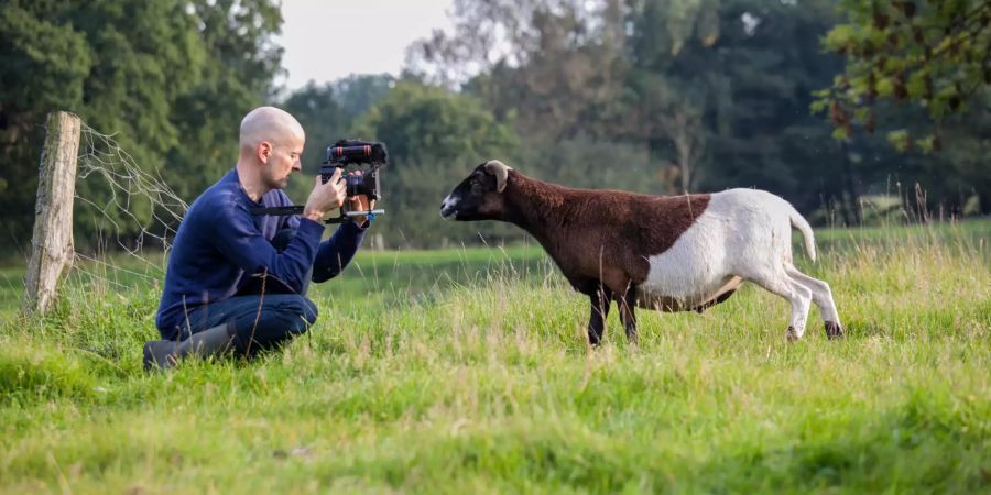 Vegan Filmemacher