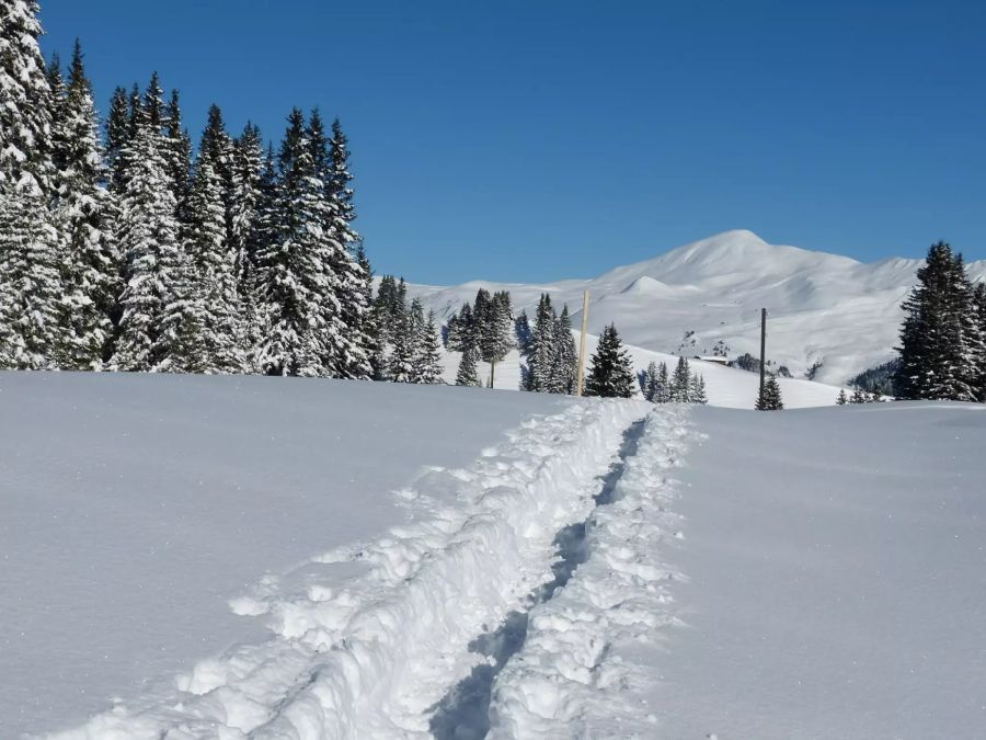 Schneeschuhwandern Arosa