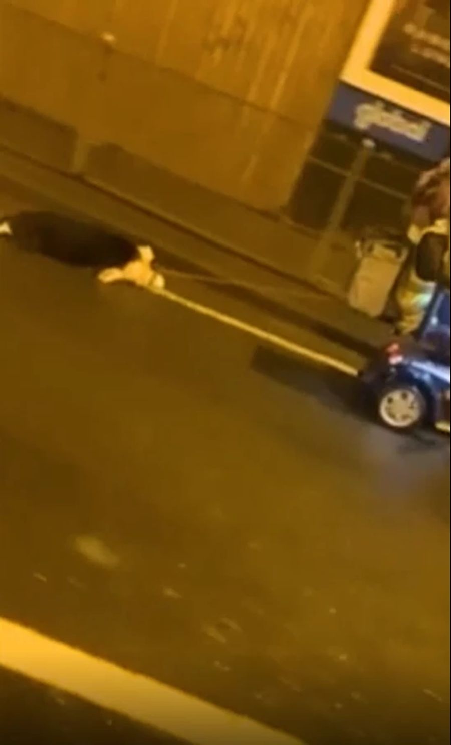 Ein Passant veröffentlichte die Aufnahmen.