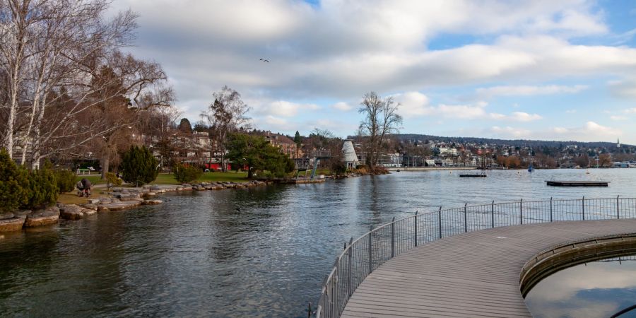 Das Strandbad Tiefenbrunnen in der Stadt Zürich.