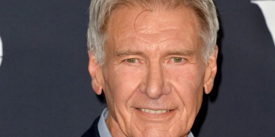 Privat lebt Ford zurückgezogen auf seiner Ranch in Wyoming. Dort verbringt er viel Zeit mit seiner Frau Calista Flockhart und engagiert sich für den Naturschutz.