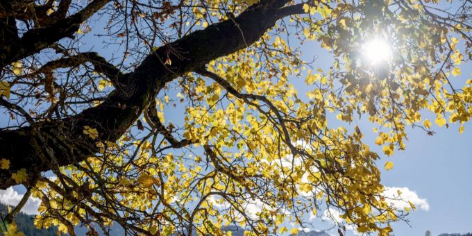Ende Oktober - Wetterdienste verzeichnen einen Sommertag im Jura