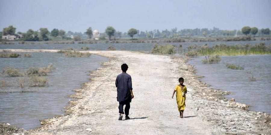 Durch die verheerenden Überschwemmungen in Pakistan stehen weite Landstriche unter Wasser.