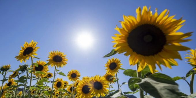 Die Schweiz hat einige warme Monate hinter sich. Schweiz Sonne