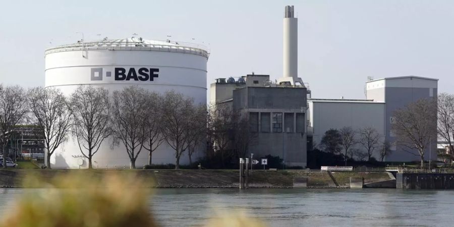 basf