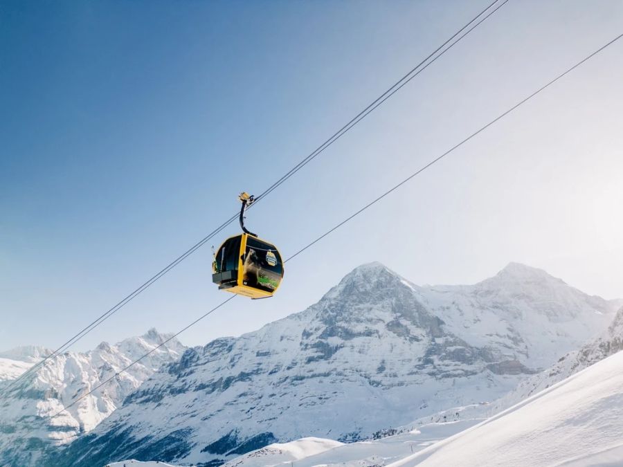 Vier Privatleute wollen zwischen Grindelwald und Meiringen mehr als 100 Hektaren Land in Besitz nehmen.