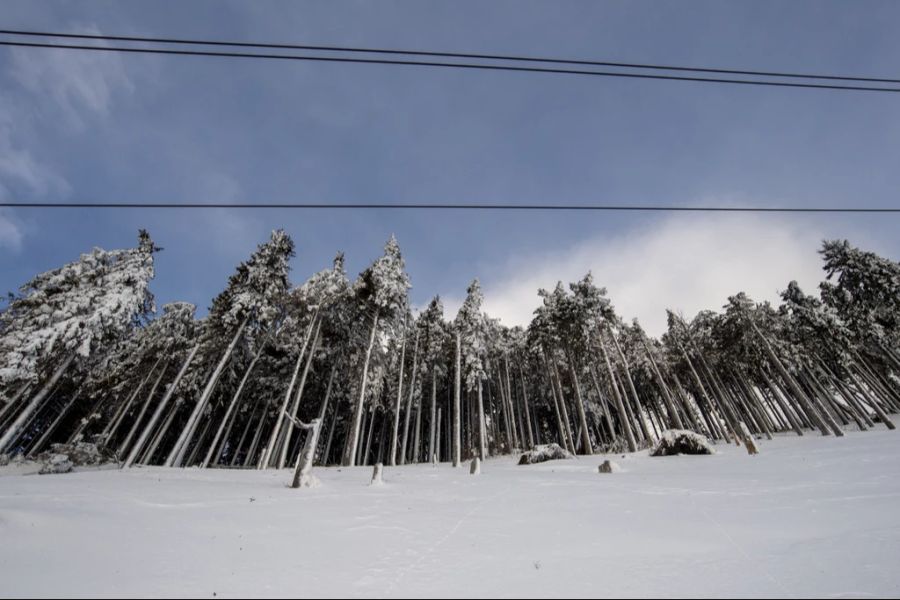 Demnach sinke die Schneefallgrenze im Tessin gegen Ende Woche so weit, dass es in den Bergen «gut und gerne einen Meter Neuschnee» geben werde.