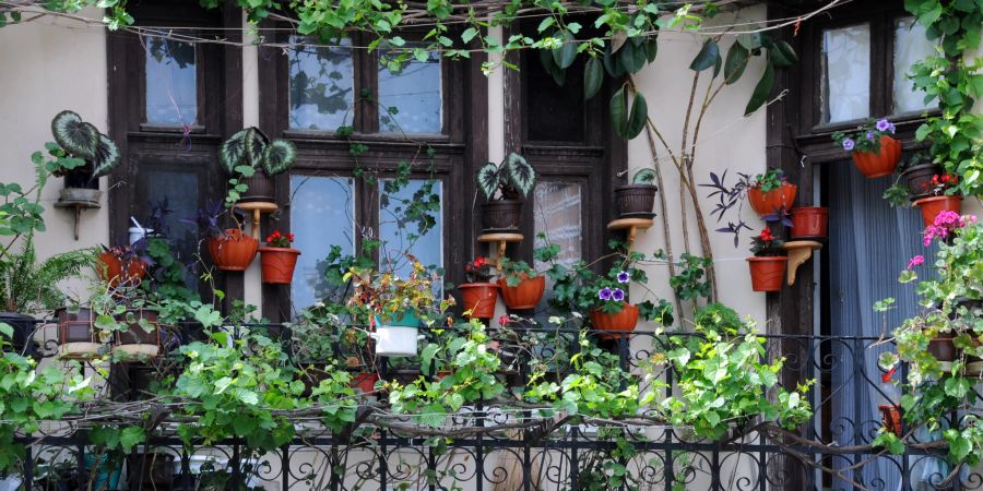Balkon mit Blumentöpfen und Zimmerpflanzen