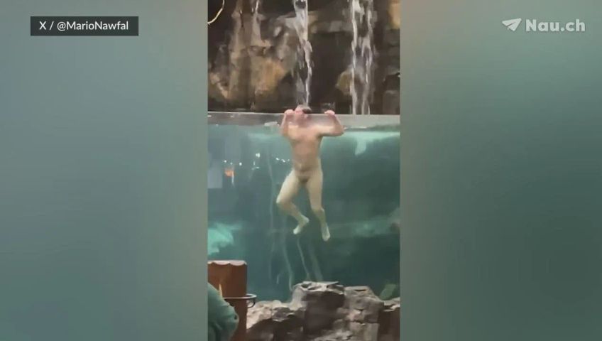 mann-in-aquarium
