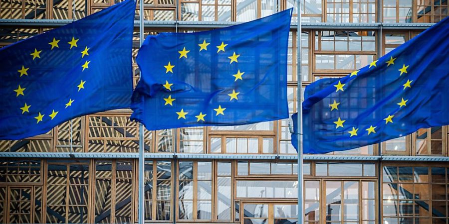 ARCHIV - Flaggen der Europäischen Union wehen im Wind vor dem Europa-Gebäude. Foto: Arne Immanuel Bänsch/dpa