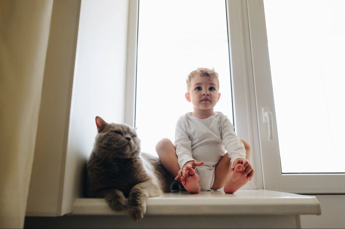 Tiere und Kleinkinder sollten auf Abstand gehalten werden. Kleinkinder