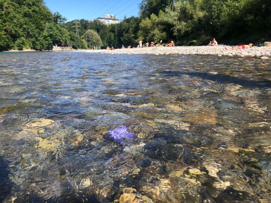 Zeugen Jehovas Aare Bern