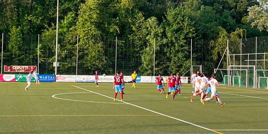 Fussball Herren
