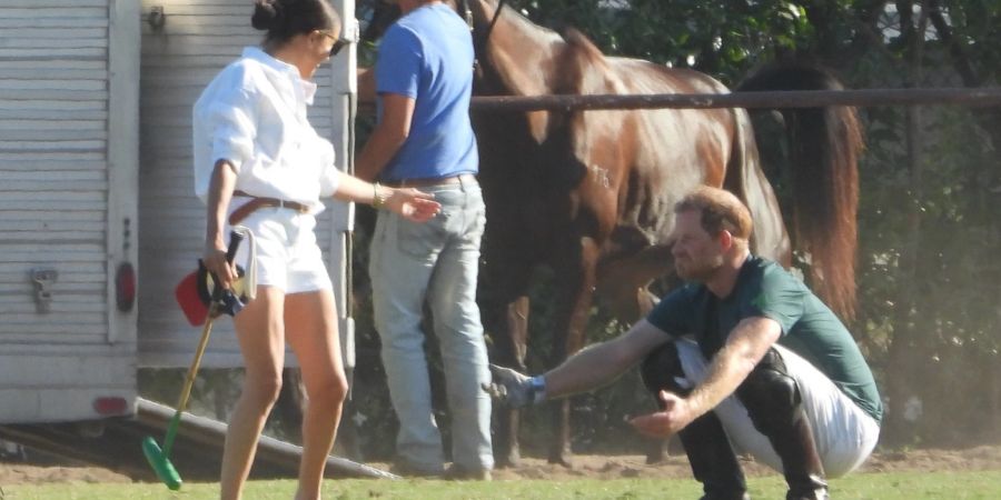 Meghan Markle und Harry beim Polo.