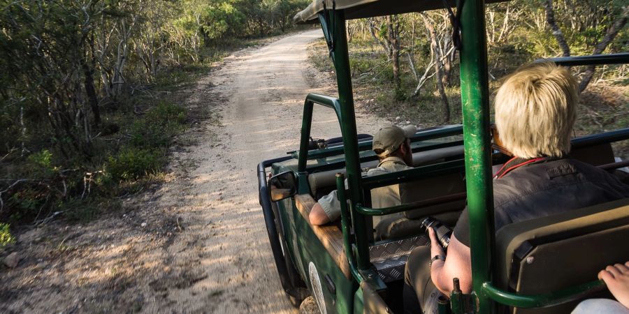 Touristen fahren durch den Krüger-Nationalpark. Der weltberühmte Krüger-Park wird in den nächsten Jahren saniert.