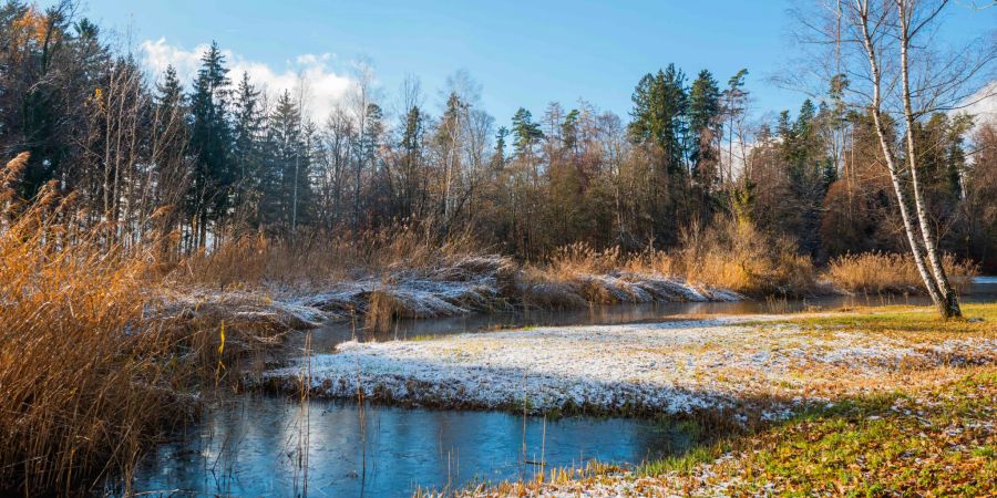 Das Naturschutzgebiet Rumensee in Küsnacht (ZH).