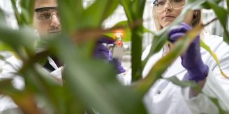 1 Prozent - Syngenta Group steigert Gewinn im ersten Quartal kräftig 1 Prozent - Syngenta Group steigert Gewinn im ersten Quartal kräftig