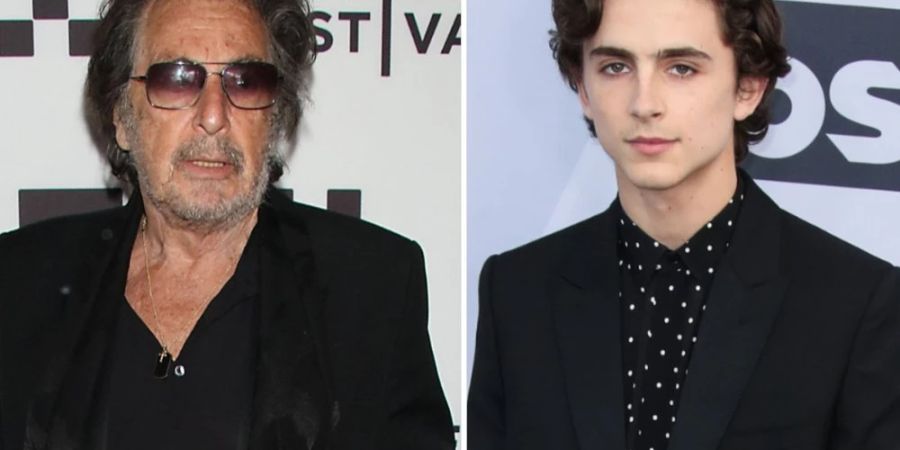 Al Pacino Timothée Chalamet