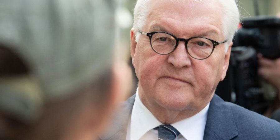 Bundespräsident Frank-Walter Steinmeier stellt eine Art reformierten Zivildienst zur Diskussion.