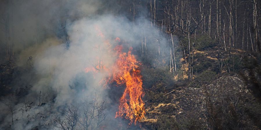 Waldbrände sind in der Regel auf menschliche Unachtsamkeit zurückzuführen, wie etwa im März beim Waldbrand oberhalb von Verdasio TI im Centovalli Tal.