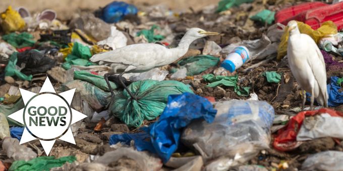 Good News - Indien verbietet 19 Einwegplastikartikel