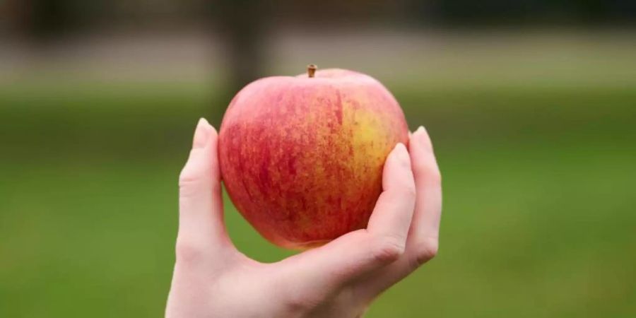 Äpfel sind nicht nur gesund, sondern spielen auch in der Kulturgeschichte eine grosse Rolle. Foto: Annette Riedl/dpa