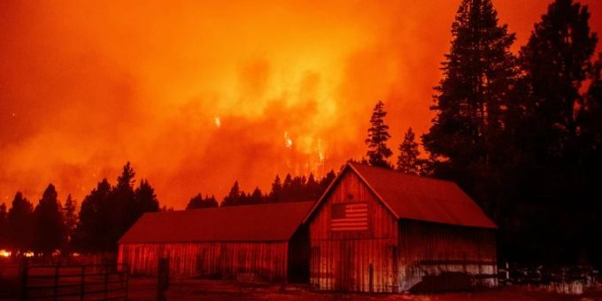 Ein Waldbrand. waldbrand