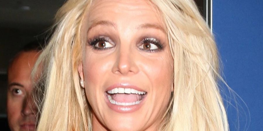 Britney Spears stellt auf Instagram ihren neuen Welpen vor.