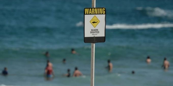 Ein Hai-Warnschild an einem Strand. (Symbolbild) hai