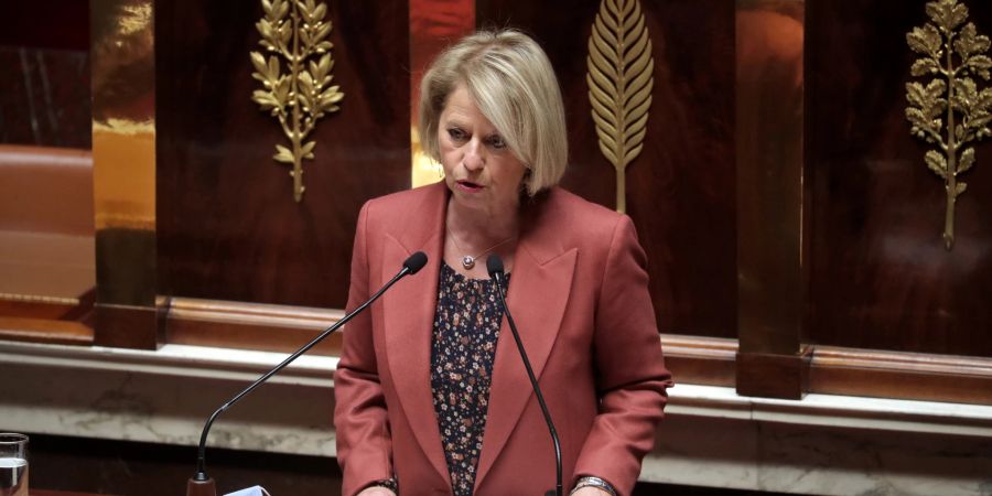 French National Assembly votes on the compulsory vaccination pass