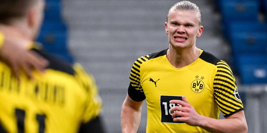 BVB erling haaland